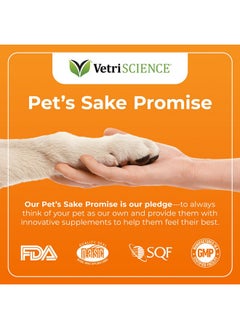 VetriScience Laboratories Glycoflex 3 Clinically Proven Hip And Joint Supplement For Dogs  Maximum Strength Dog Supplement With Glucosamine, Msm, Green Lipped Mussel & Dmg  2 Pack (120 Chewable Tablets Each)  - Image 5