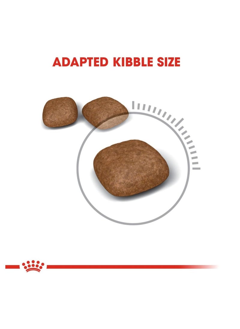 ROYAL CANIN - Urinary Care Cat Dry Food 400g - Image 1