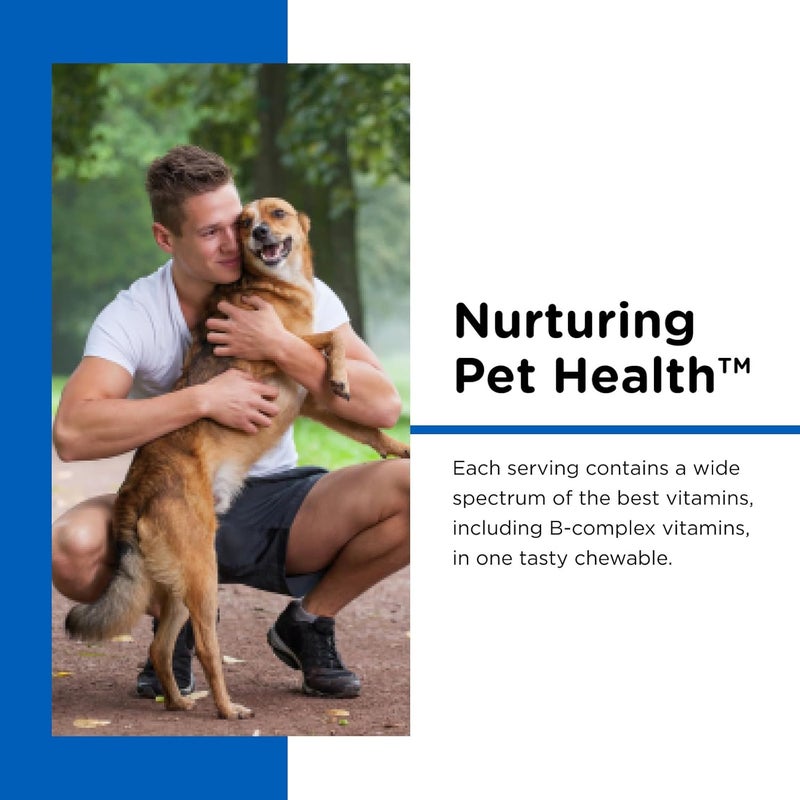 nutri vet Nutri-Vet Multi-Vite Chewables for Adult Dogs - Daily Vitamin and Mineral Support - 120 Count - Image 3