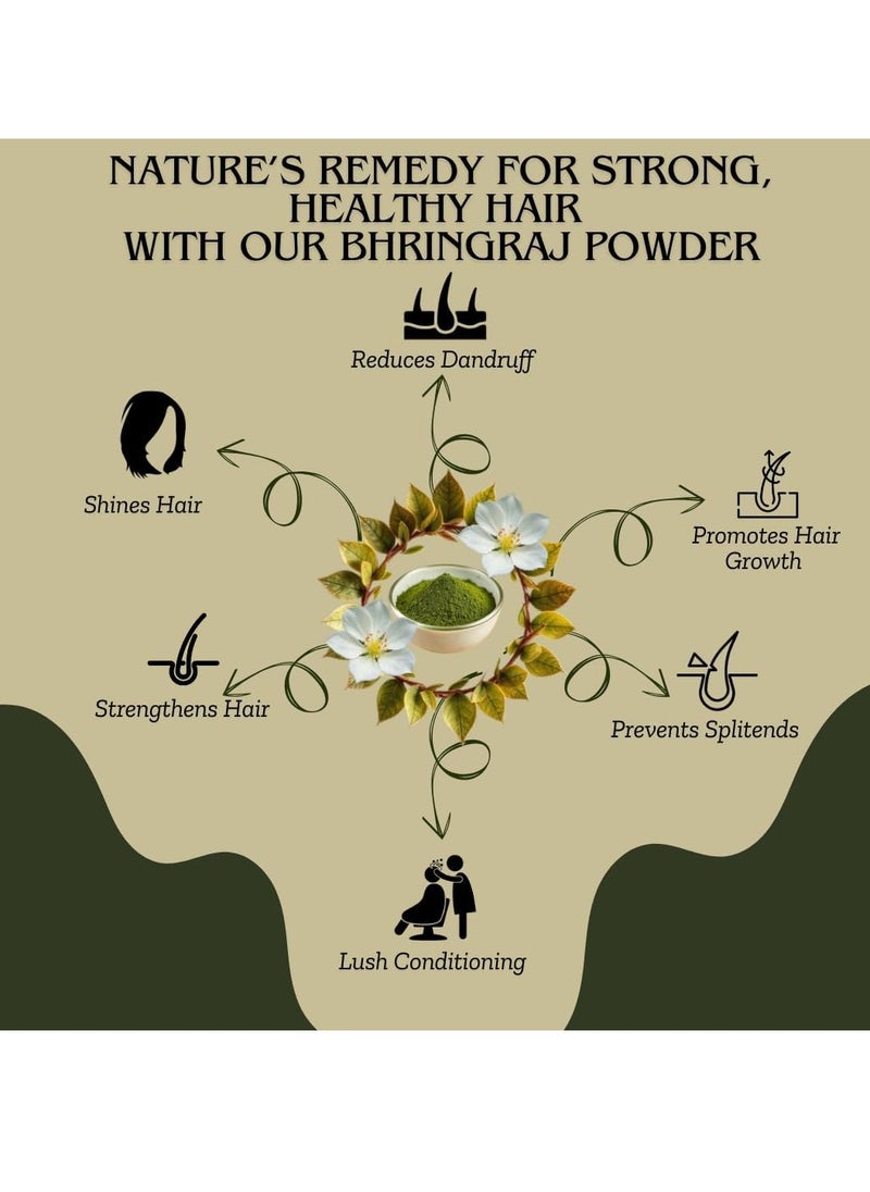 Bhringraj Powder | 100% Natural Herbal Powder for Hair Growth & Scalp Health | Strengthens Roots, Reduces Hair Fall & Dandruff (50gm)