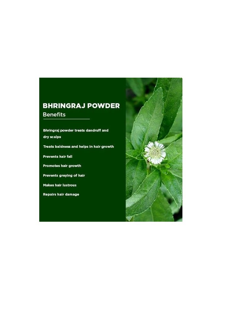 Bhringraj Powder | 100% Natural Herbal Powder for Hair Growth & Scalp Health | Strengthens Roots, Reduces Hair Fall & Dandruff (50gm)