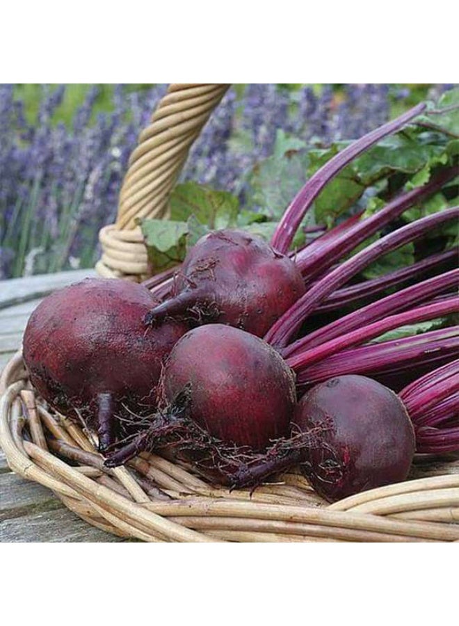 Beetroot F1 Hybrid Vegetable Seeds