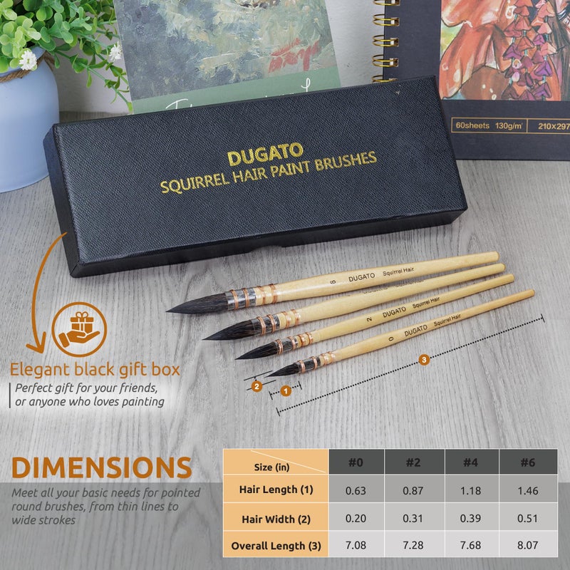 DUGATO 100% Real Squirrel Hair Watercolor Paint Brushes Set â€“ Mop Round Fine Tip Professional Artist Brushes for Gouache, Acrylic, Oil & Wash Techniques (4 Brushes) - Image 2