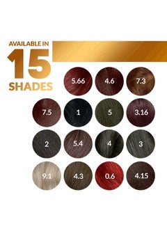 Hair Colour 120 Ml Pack Of 3 (Dark Brown) - pzsku/Z9E2CFEA02E2465185D9AZ/45/_/1689145374/4e9b34d2-c80c-4380-9909-2db2d9b29079