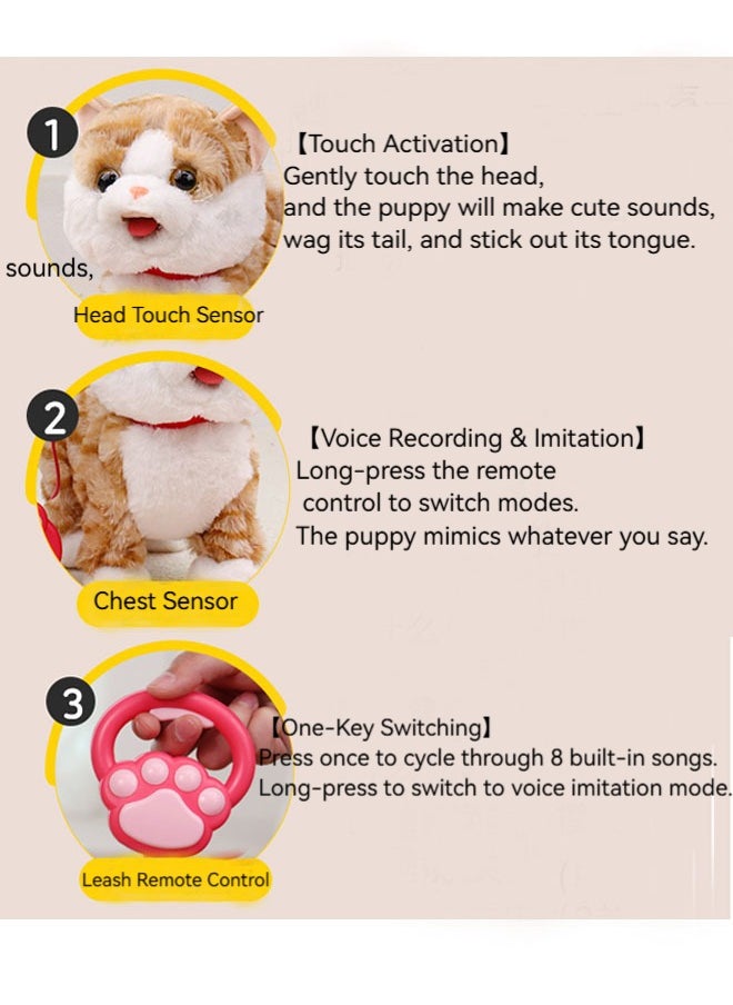 Interactive Cat Toy for Children,Leash Walking Cat Set Interactive Talking Toy Singing Dancing Kitten Mimicking Repeat What You Say Kitty Touch and Voice Control Nodding Wagging Tail Plush Electric Robot for Kids
