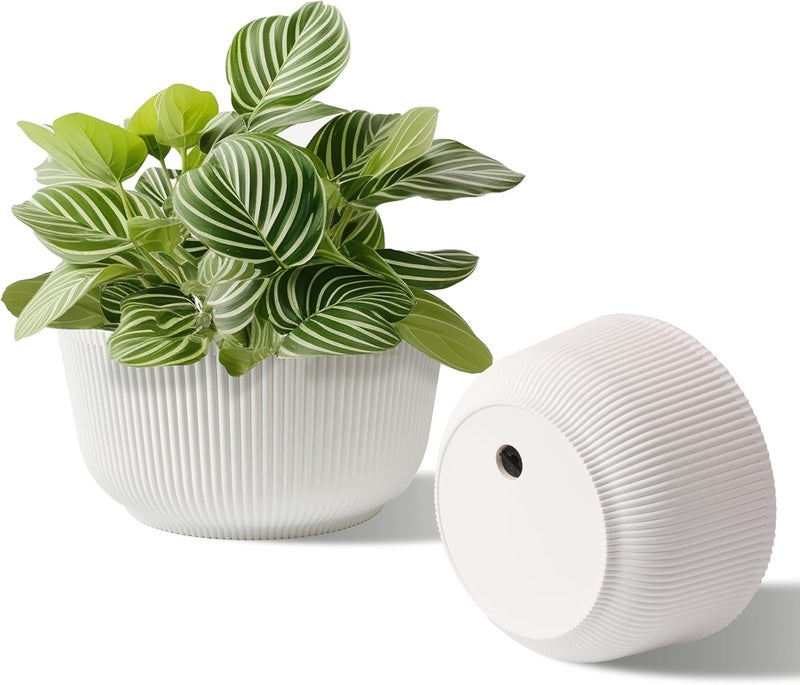 T4U 8 Inch Self Watering Pots for Indoor Plants, 2 Pack Plant Pots, Durable Plastic Self Watering Planter for Indoor Plants (2 Pack, 8", White) - Image 1