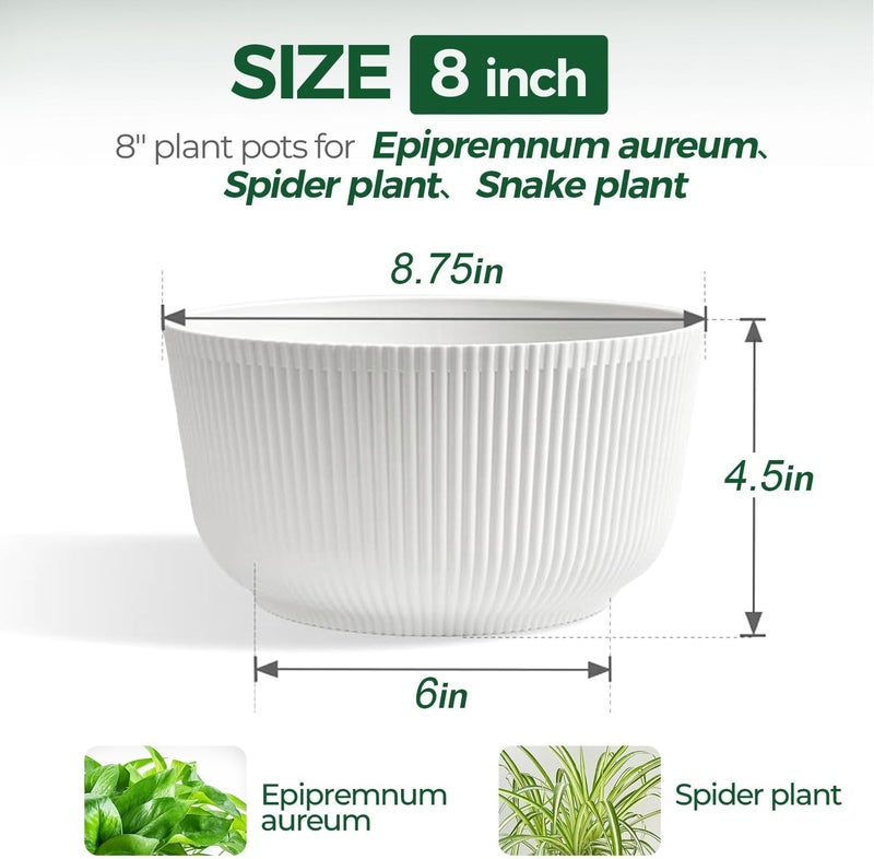 T4U 8 Inch Self Watering Pots for Indoor Plants, 2 Pack Plant Pots, Durable Plastic Self Watering Planter for Indoor Plants (2 Pack, 8", White) - Image 2