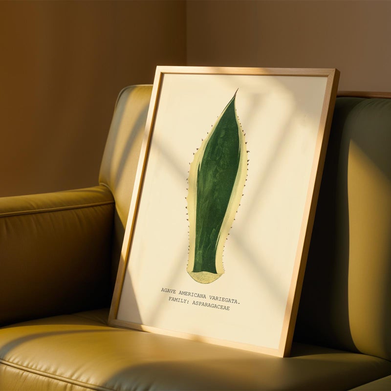 TNESSENTIAL Agave Americana Variegata Wall Art, Vintage Succulent Botanical Print, Desert Plant Illustration, Agave Leaf Artwork - Image 5