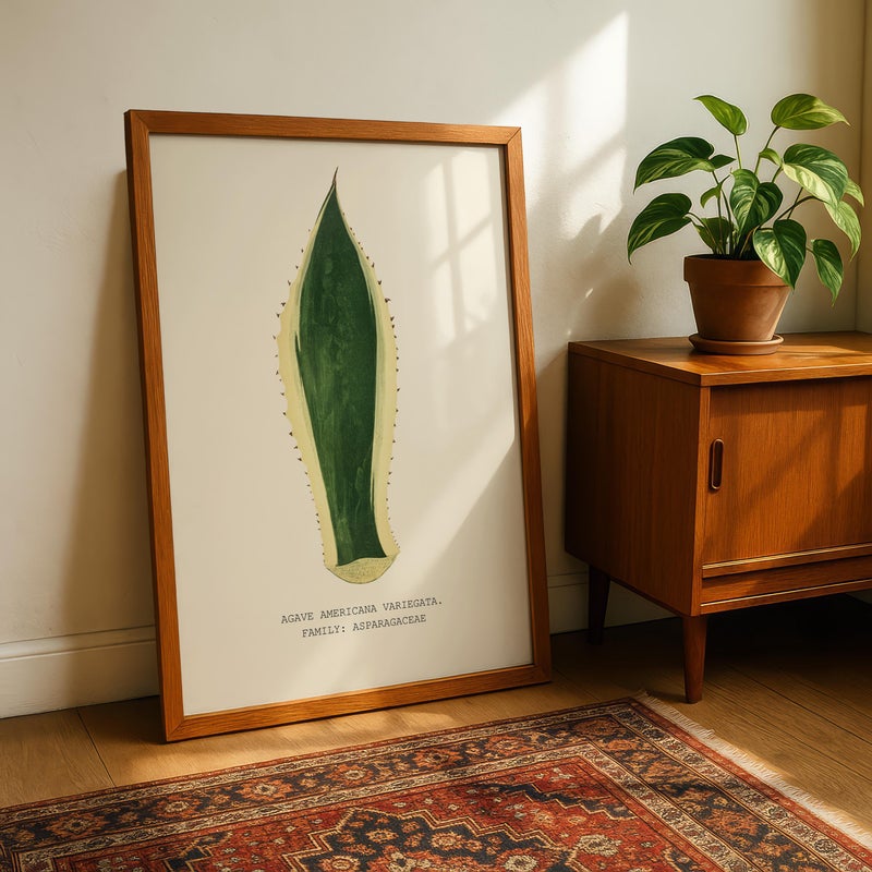TNESSENTIAL Agave Americana Variegata Wall Art, Vintage Succulent Botanical Print, Desert Plant Illustration, Agave Leaf Artwork - Image 3