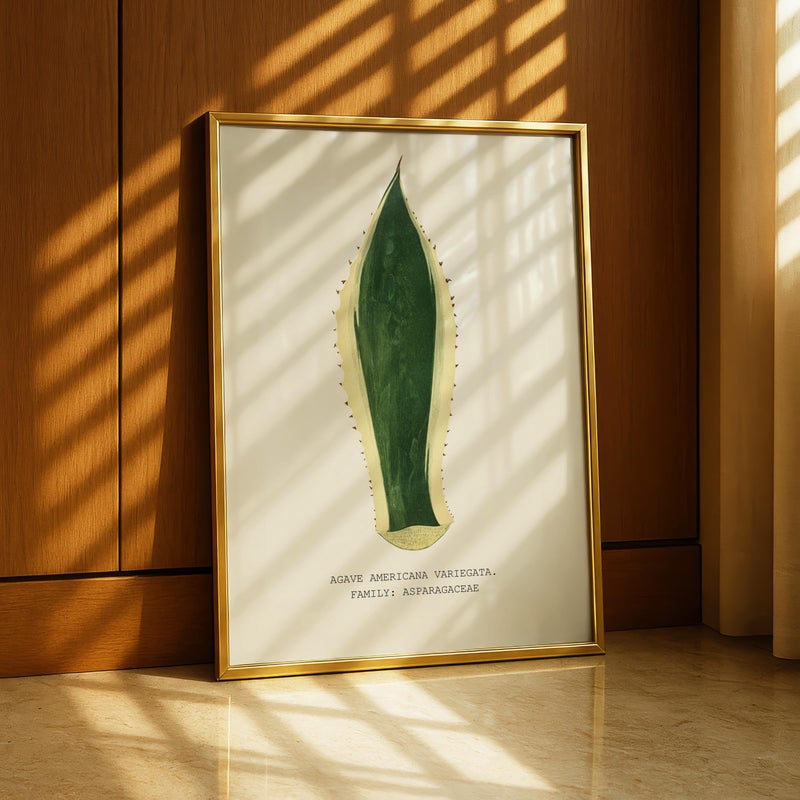 TNESSENTIAL Agave Americana Variegata Wall Art, Vintage Succulent Botanical Print, Desert Plant Illustration, Agave Leaf Artwork - Image 1