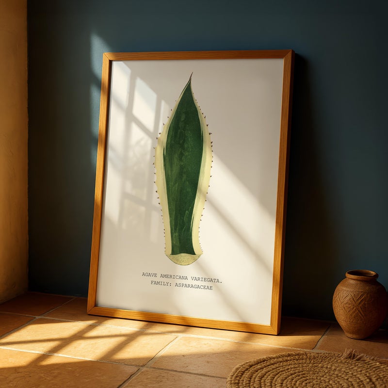 TNESSENTIAL Agave Americana Variegata Wall Art, Vintage Succulent Botanical Print, Desert Plant Illustration, Agave Leaf Artwork - Image 2