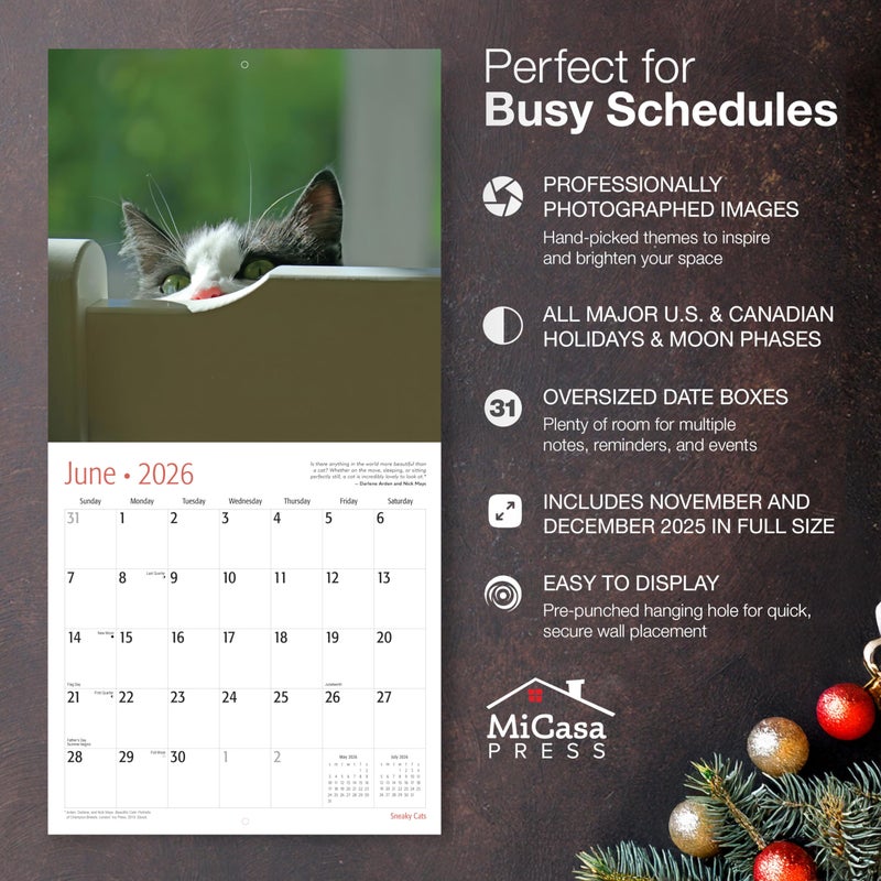 MICASA PRESS Sneaky Cats 2026 Wall Calendar 12 Month | 12" x 24" Open | Thick & Sturdy Paper | Holiday Gift | Funny Kitten Cat Calendar 2026 - Image 2