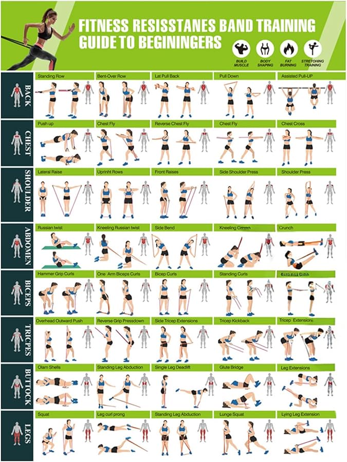 Resistance Bands Workout Poster Guide Wall Decor for Home Gym Training Men Women - Image 1