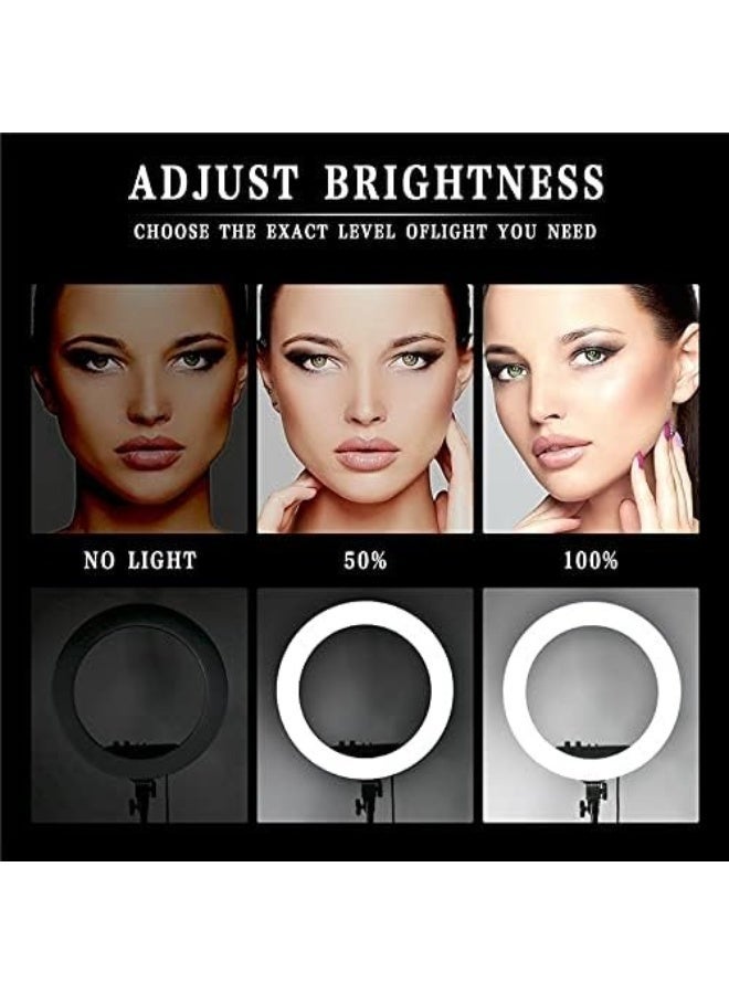 MAKS & CO. 18" LED Selfie Ring Light with Floor Tripod & 3-Phone Holder Bracket – Soft Lighting with Remote Control - Image 3