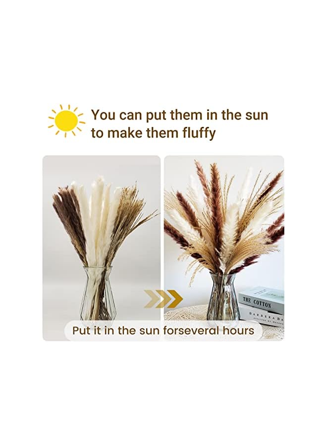 The Bros 60 pcs Natural Dried Pampas Grass - 15Pcs Brown Pampas & 15Pcs White Pampas & 30Pcs Reed Grass Fluffy Dried Flowers for Home Decor Wedding Boho Decor - Image 2