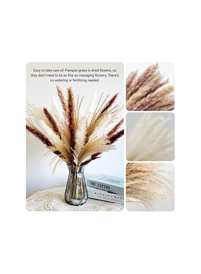 The Bros 60 pcs Natural Dried Pampas Grass - 15Pcs Brown Pampas & 15Pcs White Pampas & 30Pcs Reed Grass Fluffy Dried Flowers for Home Decor Wedding Boho Decor - Image 5