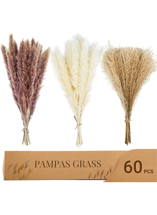 The Bros 60 pcs Natural Dried Pampas Grass - 15Pcs Brown Pampas & 15Pcs White Pampas & 30Pcs Reed Grass Fluffy Dried Flowers for Home Decor Wedding Boho Decor - Image 1