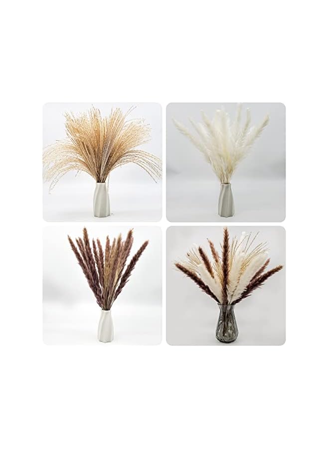 The Bros 60 pcs Natural Dried Pampas Grass - 15Pcs Brown Pampas & 15Pcs White Pampas & 30Pcs Reed Grass Fluffy Dried Flowers for Home Decor Wedding Boho Decor - Image 4