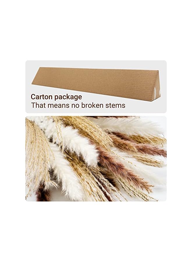 The Bros 60 pcs Natural Dried Pampas Grass - 15Pcs Brown Pampas & 15Pcs White Pampas & 30Pcs Reed Grass Fluffy Dried Flowers for Home Decor Wedding Boho Decor - Image 3