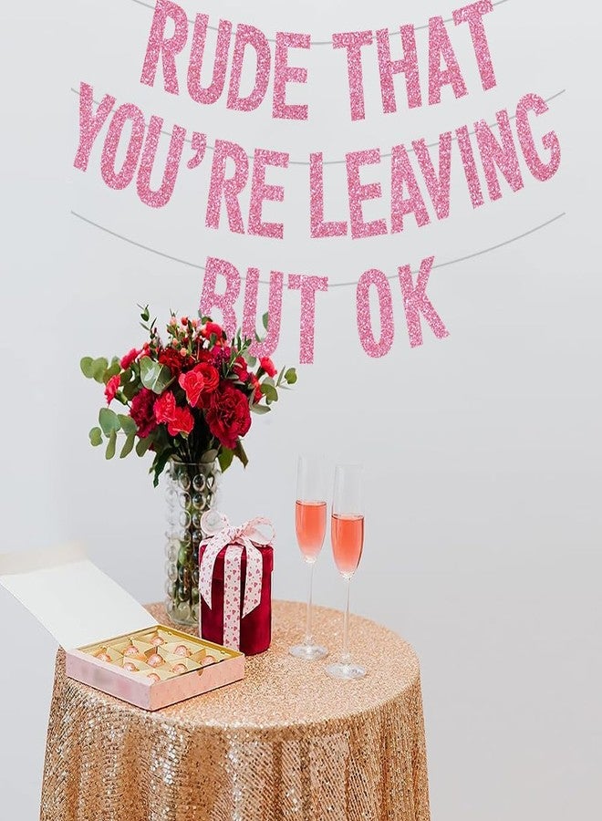 BEISHIDA Rude That You're Leaving But OK pink Banner - Image 5