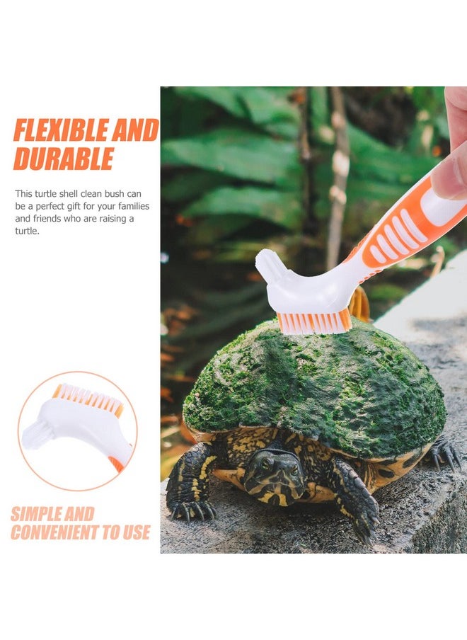 POPETPOP - Turtle Shell Cleaning Brush Double Sided Clean Brush Tortoise Shell Scrub Brush Aquarium Scraper Deep Detail Brush Mud Brush For Edge Corner - Image 1