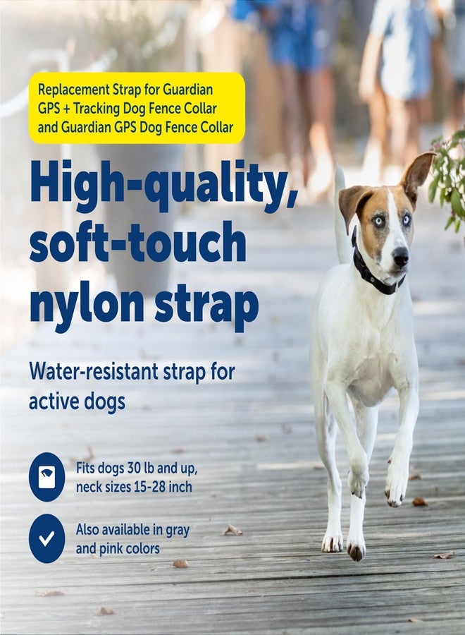 PetSafe Replacement Strap for Guardian GPS + Tracking Dog Fence Collar, Made with Soft-Touch Nylon for Enhanced Comfort and Long-Lasting Wear - Water-Wicking, Waterproof Material, Black - Image 2