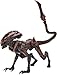 NECA Aliens Fireteam Elite 7 Scale Action Figure Prowler Alien - Image 2