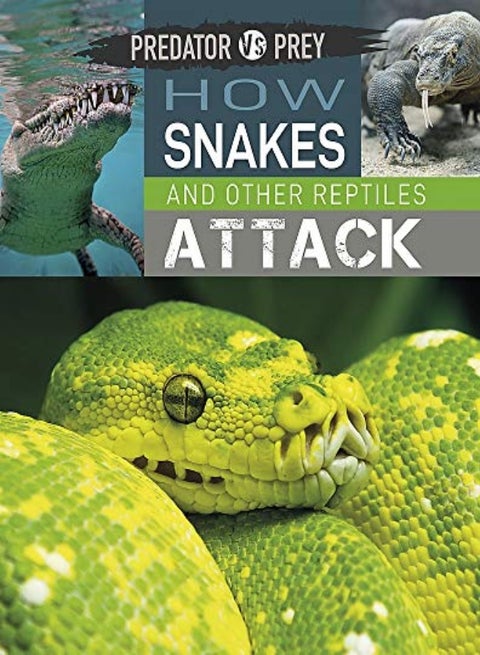 How Snakes and other Reptiles Attack