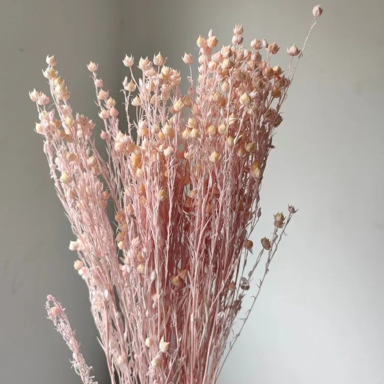Bluejw Rich Beans 6-Color Preserved Dried Flowers Bouquet – 70g/Bundle Natural Dried Plants for Easter Decor, Crafts & Gifting - Image 1