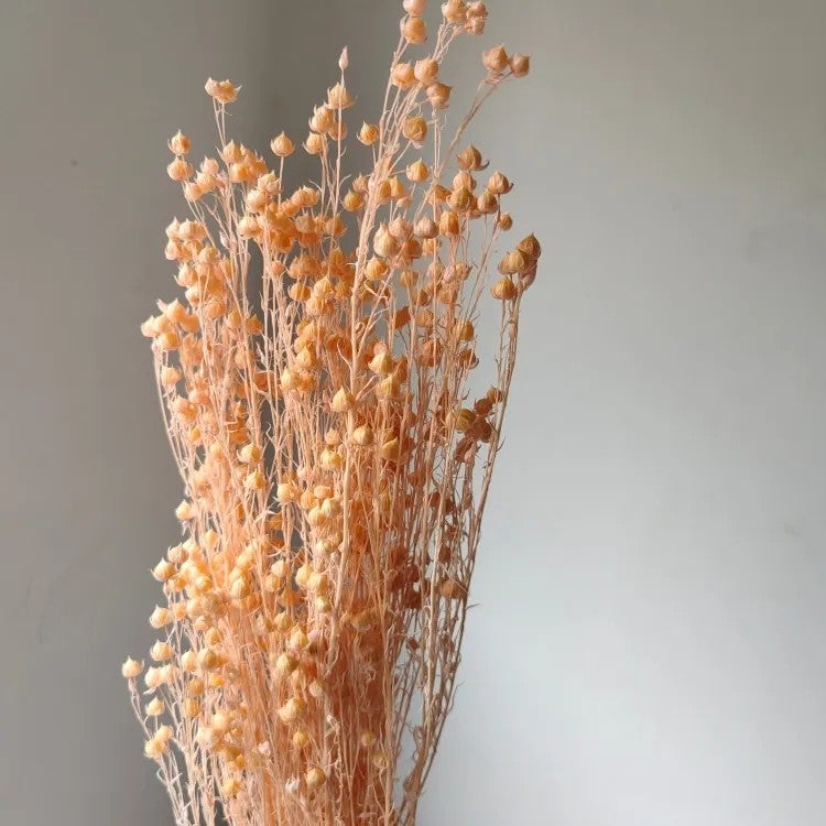 Bluejw Rich Beans 6-Color Preserved Dried Flowers Bouquet – 70g/Bundle Natural Dried Plants for Easter Decor, Crafts & Gifting - Image 4