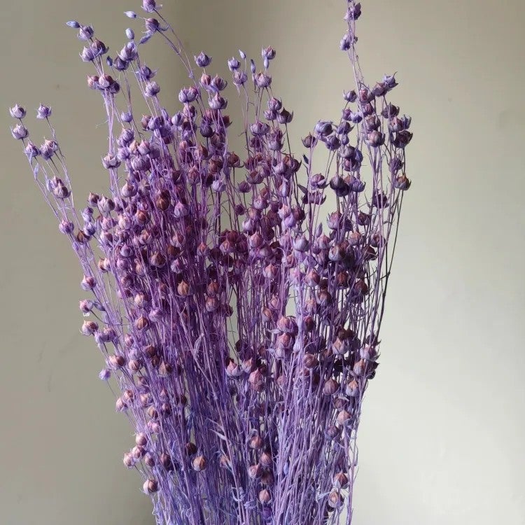 Bluejw Rich Beans 6-Color Preserved Dried Flowers Bouquet – 70g/Bundle Natural Dried Plants for Easter Decor, Crafts & Gifting - Image 3