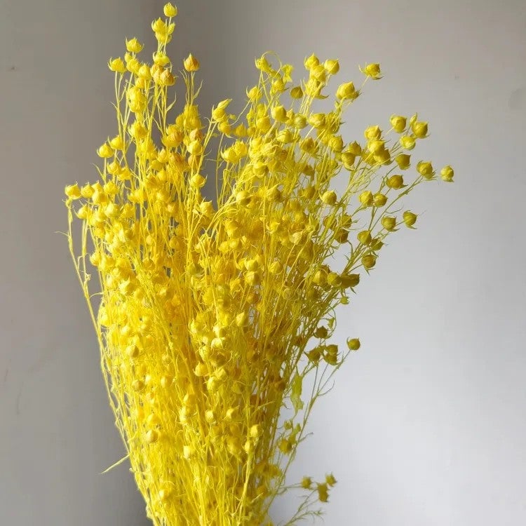 Bluejw Rich Beans 6-Color Preserved Dried Flowers Bouquet – 70g/Bundle Natural Dried Plants for Easter Decor, Crafts & Gifting - Image 5