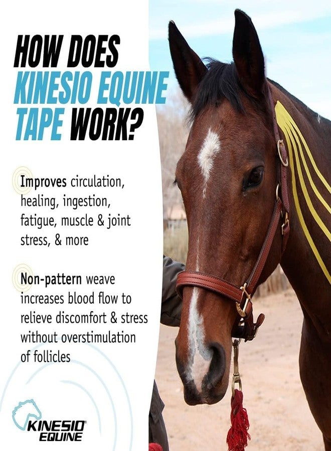 Kinesio Equine Tape - Tex Gold FP Horse Tape -Tape Made Specifically for Horses - 2”x 16’ Rolls - Green - Image 2