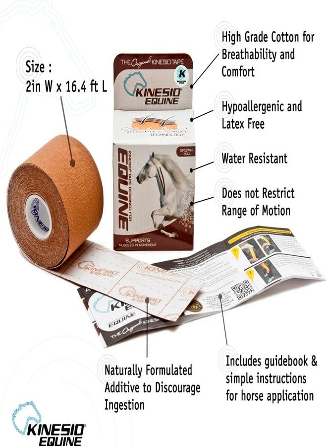 Kinesio Equine Tape - Tex Gold FP Horse Tape -Tape Made Specifically for Horses - 2”x 16’ Rolls - Green - Image 3