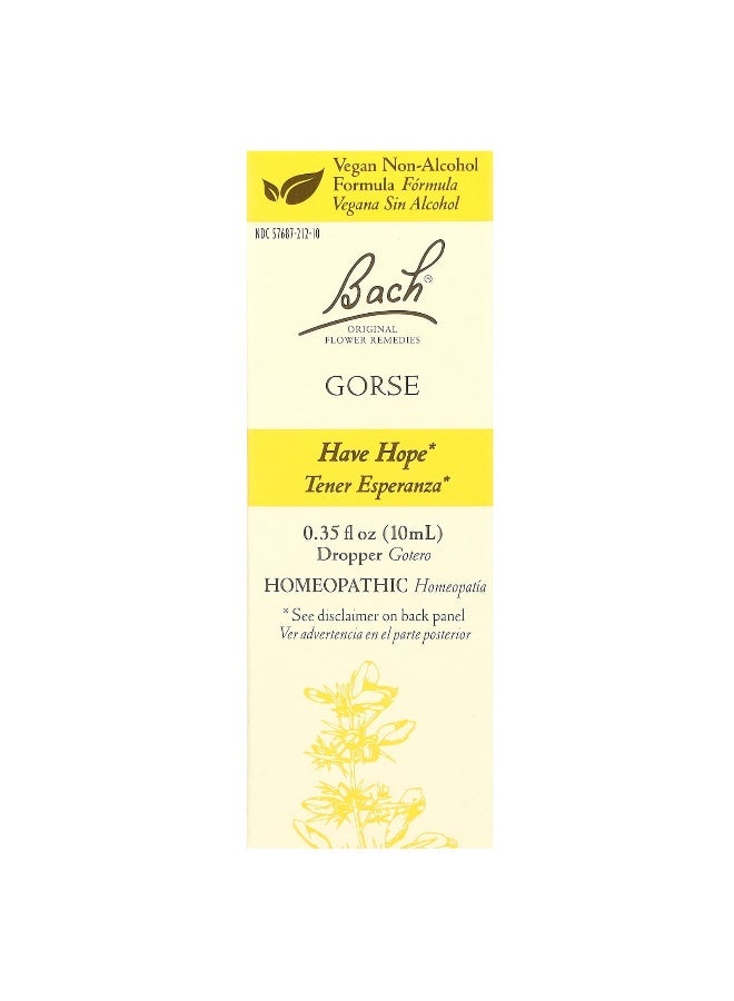 Bach باخ، العلاجات الزهرية الأصلية، غورس، 0.35 أونصة سائلة (10 مل) - Image 1