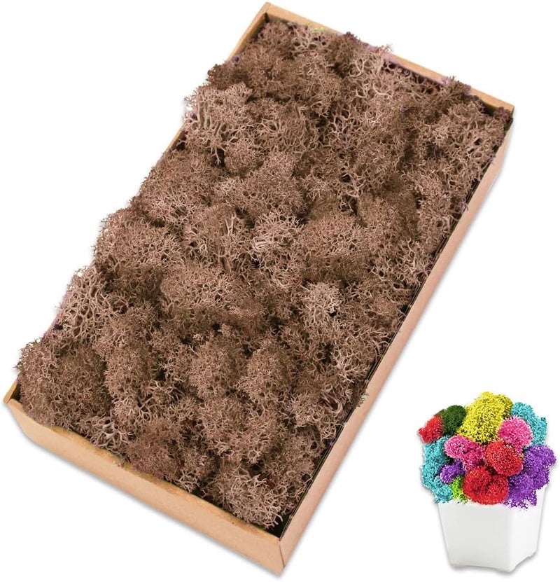 TCYPUHL Preserved Reindeer Moss, 7 oz Brown Decorative Craft Moss for Potted Plants, Fairy Gardens, DIY Wall Art, Floral Arrangements, Christmas Easter Wedding Holiday Decor - Image 1