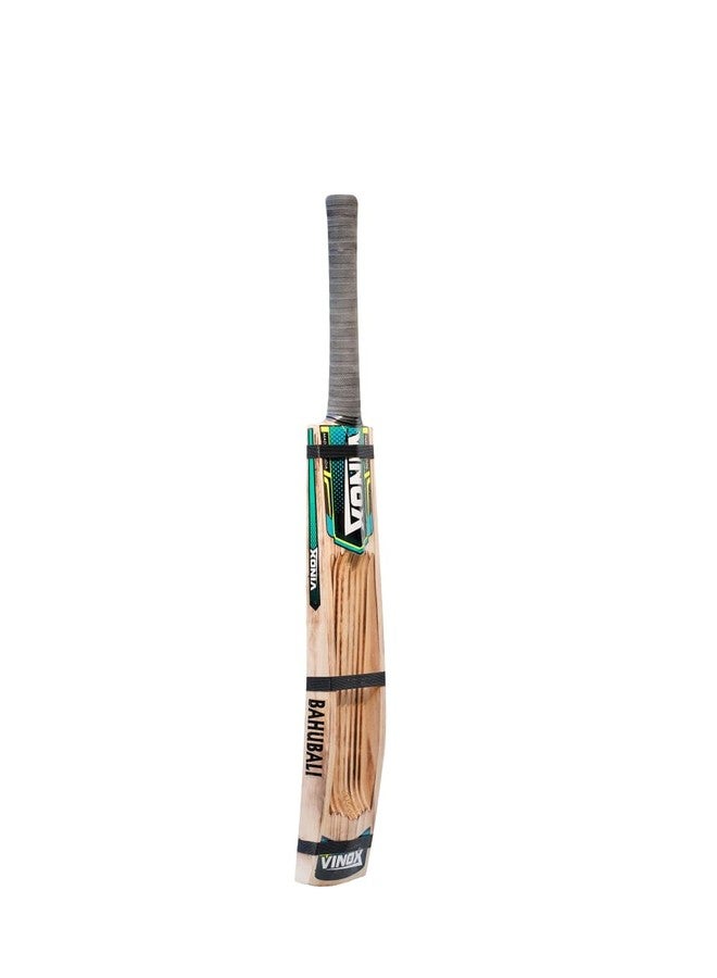 VINOX Present Full Cane Kashmir Willow Cricket Bat | |Kashmir Willow - Grade 2 | Cricket Bat | Full Cane Handle Triple Gutting Band (Short Hand) - Image 4