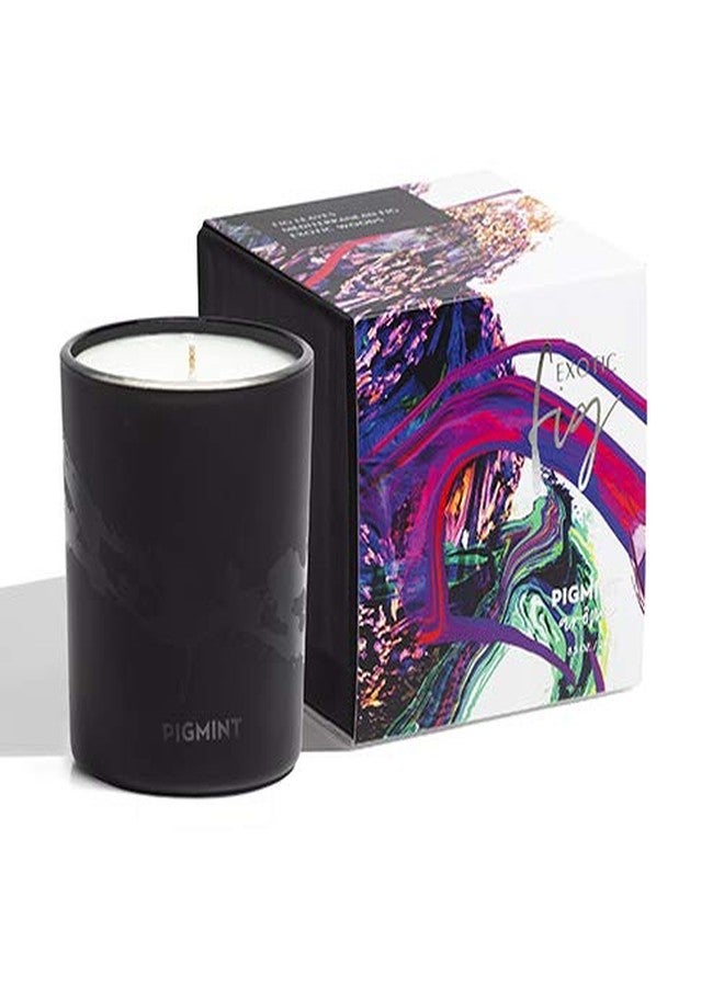 Pigmint Arome Currant Noir Scented Candle - Image 1