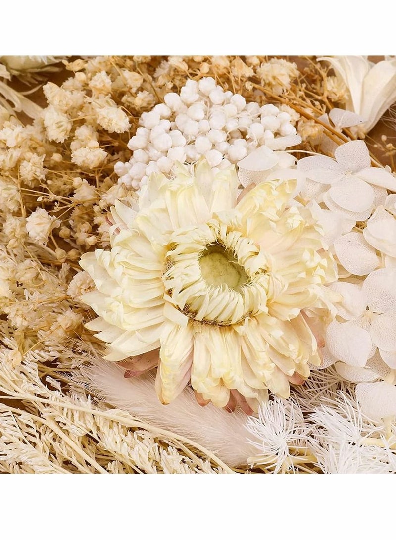 2 Pack White Dried Flowers for Resin Jewelry Molds, Real Pressed Dry Flower Leaves with Tweezers, for DIY Crafts Nail Art Candle Soap Making Phone Case Jewelry Pendant Floral Decors - Image 4