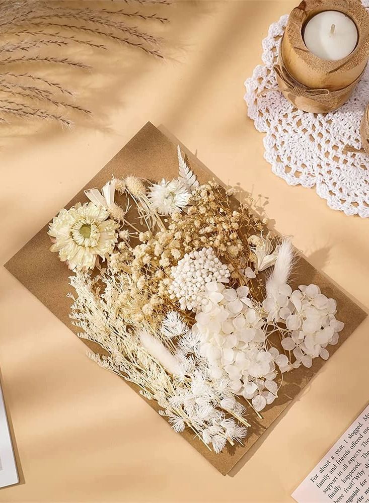 2 Pack White Dried Flowers for Resin Jewelry Molds, Real Pressed Dry Flower Leaves with Tweezers, for DIY Crafts Nail Art Candle Soap Making Phone Case Jewelry Pendant Floral Decors - Image 3