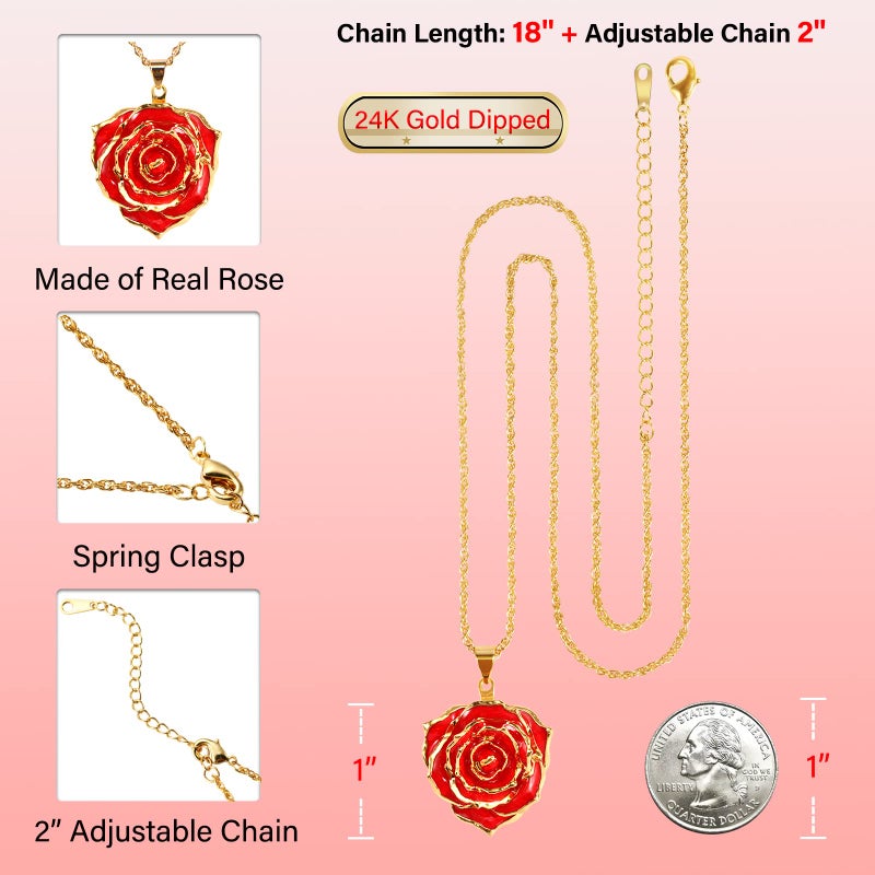 AliveRose Rose Pendant Necklaces Gifts for Women, 24K Gold Dipped Real Rose Dangle Necklace Jewelry - Ideal Gift for Her Wife Mom Anniversaries, Valentines, Birthday (Red) - Image 3