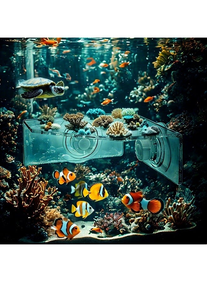 kcrygogo 13 Plug Holes Coral Frag Rack Clear Acrylic Holder for Aquarium Fish Tank - Button Reef Broken Frame With Enhanced Suction Cup (2 Pack) - Image 2