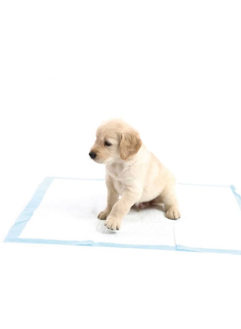 Wet Absorption Disposable Underpads – 60 cm X 90 cm for HOME CARE and PETS/Puppy Training Pads -10 Pcs/PKT - Image 4