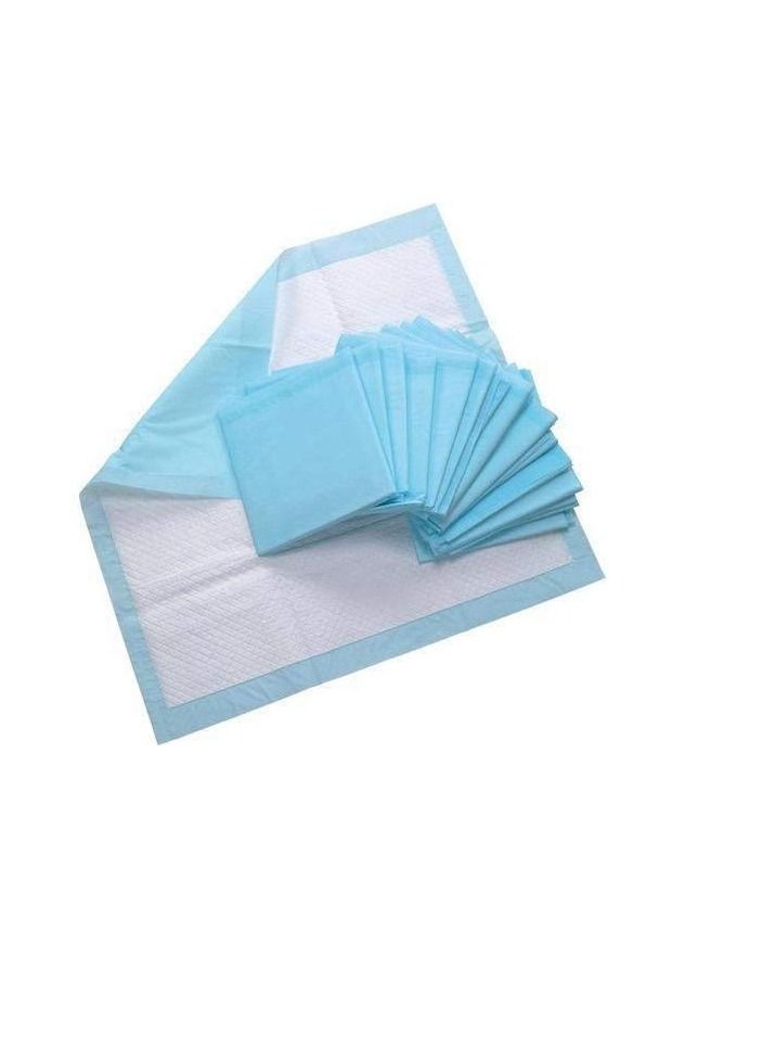 Wet Absorption Disposable Underpads – 60 cm X 90 cm for HOME CARE and PETS/Puppy Training Pads -10 Pcs/PKT - Image 1