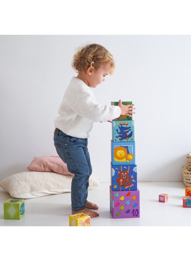 دجيكو كتل قوس قزح - Image 2