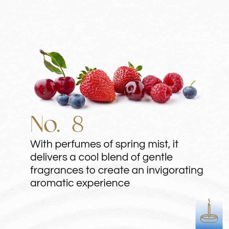 Gonesh - Classic Collection - Non-Toxic 10â€ Slow Burn Light Fruit & Floral Aromatic Sticks - No. 8-100 Pack - Image 2