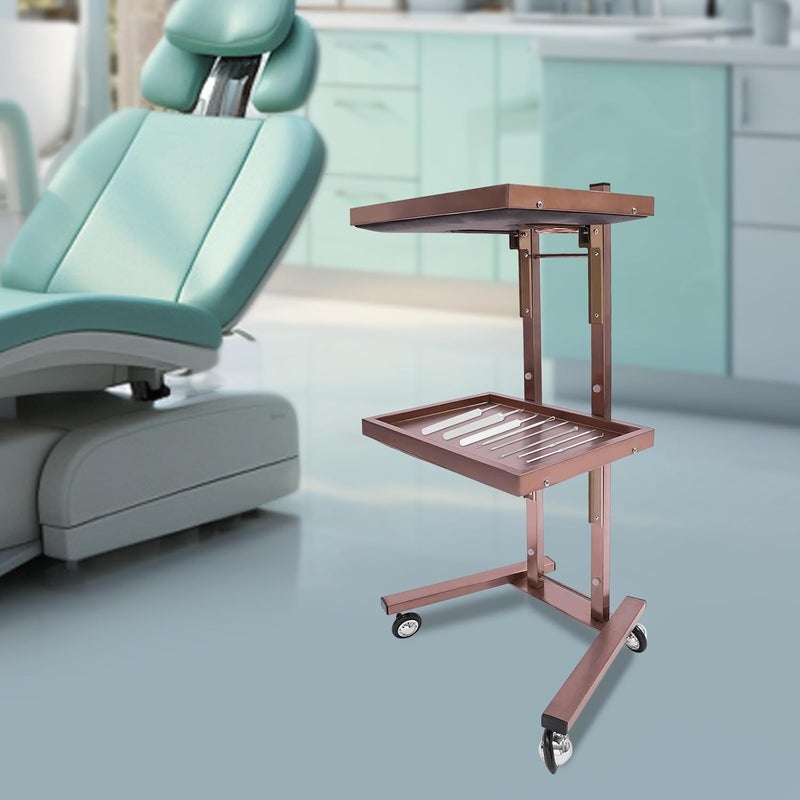 2 Tier Stainless Steel Utility Trolley, Hairdressing Tool Trolley with Wheels & Foldable Tray, Salon Cart, Ideal for Barber Shops, Beauty Salons, Studios, Spas & Homes (Rose-Gold) - Image 1