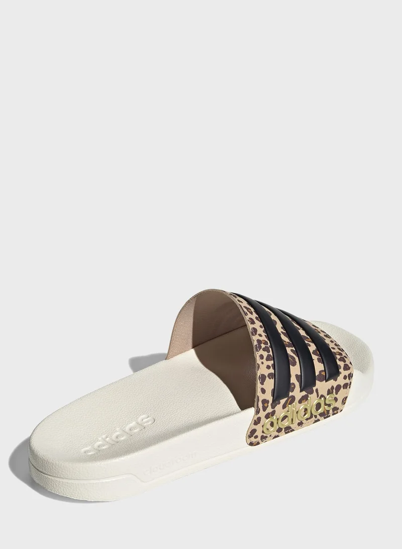 Adidas Adilette Shower