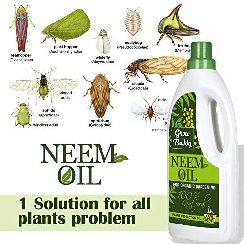 GROWBUDDY Neem Oil Cold Pressed water soluble for Plant and Organic Farming Helpful for Plant Growth 1 L, pack of 1 - Image 3