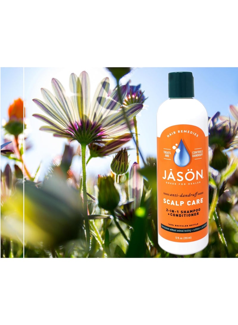 Jason شامبو وبلسم علاج قشرة الرأس 2 في 1 من جيسون، زجاجة سعة 12 أونصة - Image 4